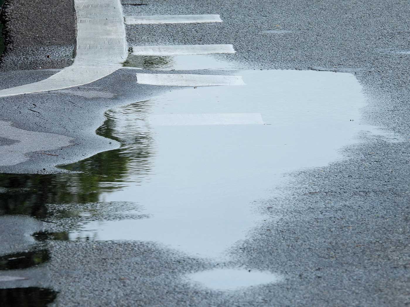 Close-up of puddle on pavement. White lane markings in background.